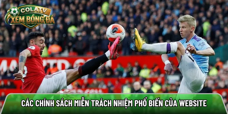 Các chính sách miễn trách nhiệm vô cùng phổ biến của website