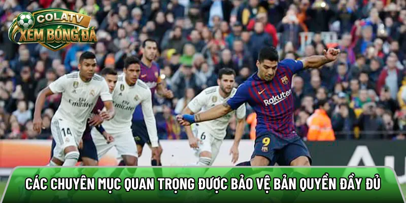 Các chuyên mục quan trọng được bảo vệ bản quyền đầy đủ