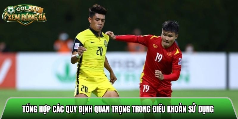 Các tính năng nổi bật của mục kết quả bóng đá