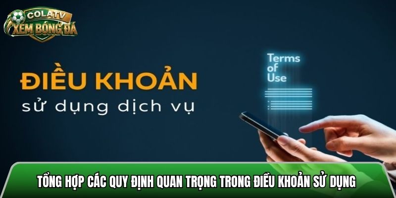 Tổng hợp các quy định quan trọng trong điều khoản sử dụng 