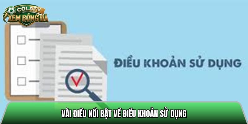 Vài điều nổi bật về điều khoản sử dụng