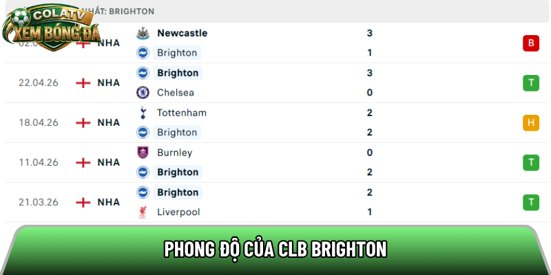 Phong độ của CLB Brighton