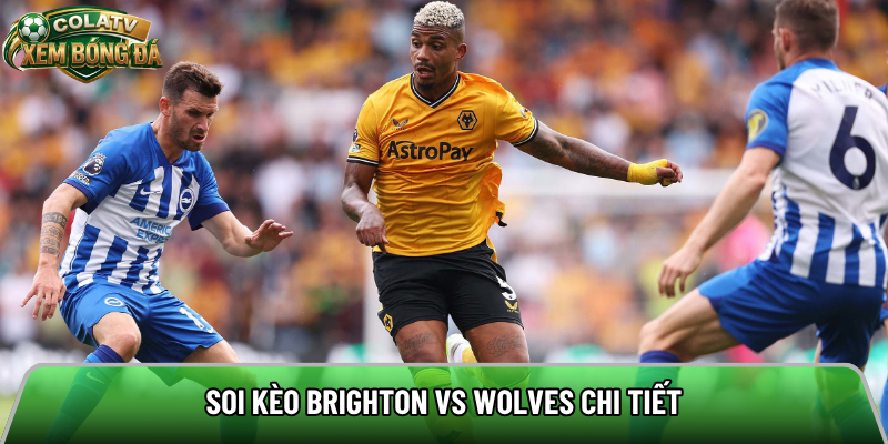 Soi kèo Brighton vs Wolves chi tiết