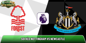 Soi kèo Nottingham Forest vs Newcastle, 20h ngày 10/5 – Ngoại hạng Anh