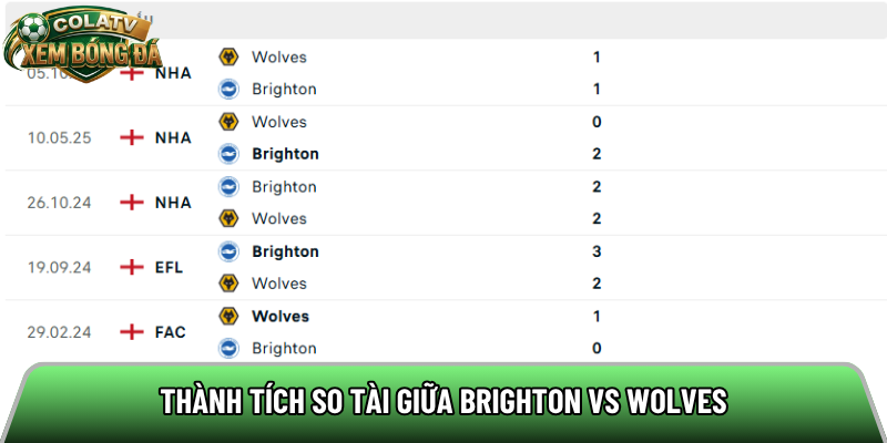 Thành tích so tài giữa Brighton vs Wolves